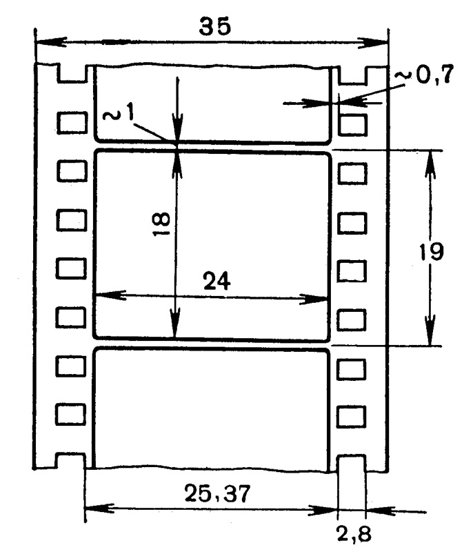 ris2_-12.jpg