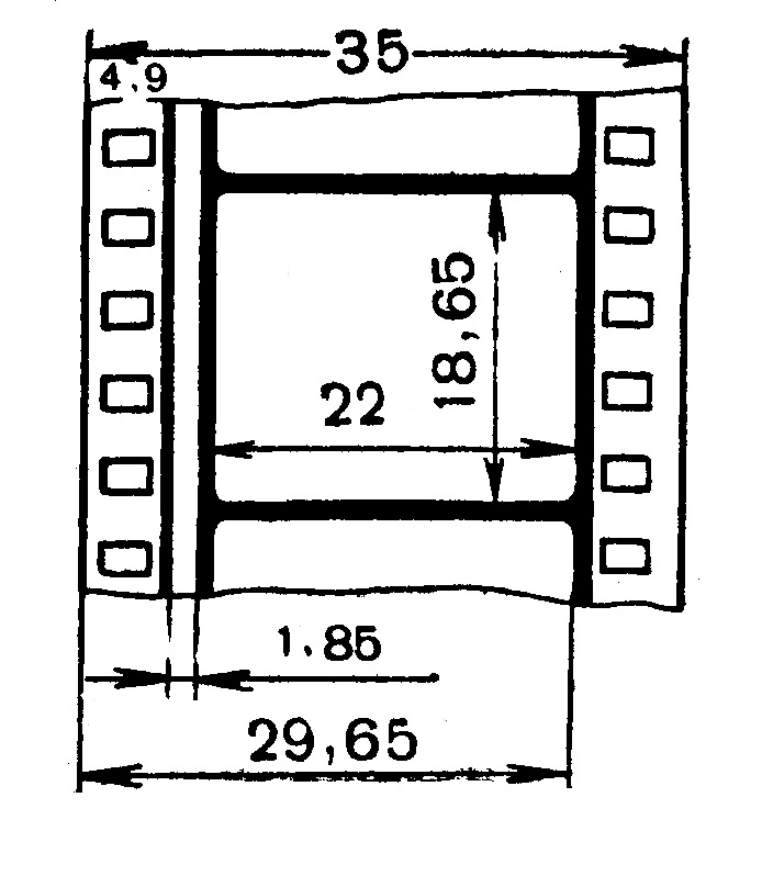 ris5_-15.jpg