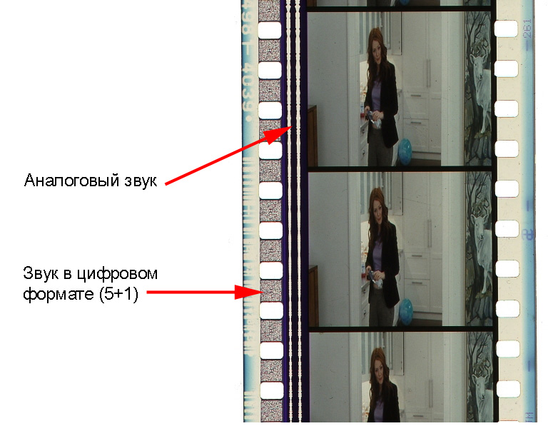 ris7_anamofr_02.jpg